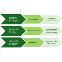 For A New Earth logo - Similar company to Naturaconnect