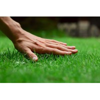 Errington Property Maintenace logo - Similar company to Errington Marketing