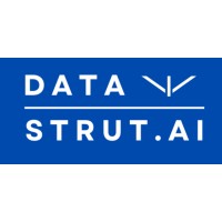 Datastrut AI logo - Similar company to Potions