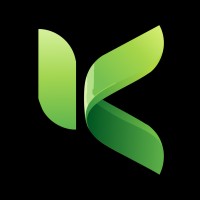 Knexus Interactive logo - Similar company to Owasp Chandigarh