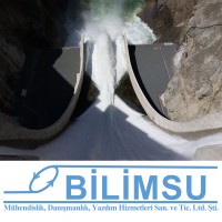 bilimsu-eng logo - Similar company to Beholder Creative Co.