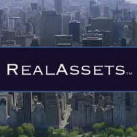 RealAssets.com logo - Similar company to Rootcorp