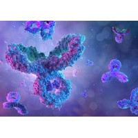 Canary Global Inc logo - Similar company to Flex Electronics