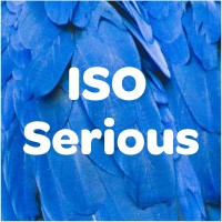 ISO Serious logo - Similar company to Better Isms