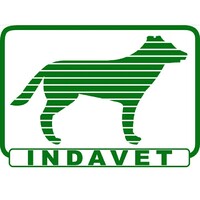 Clinica Veterinária Indavet logo - Similar company to Mn Biscoitos