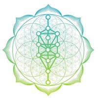 Healing Rays logo - Similar company to Healing Station