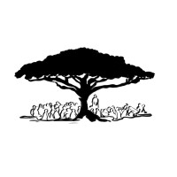 Hansvalkenburgbv Interimmanagement | Organisatieadvies |  Programmamanagement