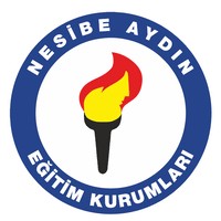 Nesibe Aydın College logo - Similar company to Consultanting Services