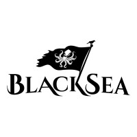 BlackSea Technologies logo - Similar company to Nask Incorporated