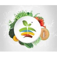 Saivi Seeds Private Limited