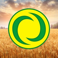 Cereal Destrine S.p.A. logo - Similar company to Gingarby