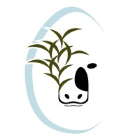 HEGART DE MÉXICO logo - Similar company to Coparmex Estado De México