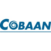 COBAAN | Development, Assessment & Search logo - Similar company to 2Trust Finance Interim Management & Recruitment