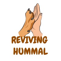 Reviving Hummal logo - Similar company to Stride Ventures