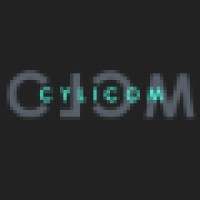 Cylicom Web Solutions logo - Similar company to Toastedweb