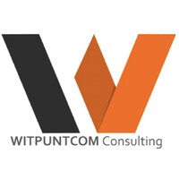 Witpuntcom Consulting logo - Similar company to Profast It Services