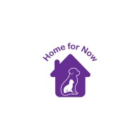 Home for Now, Co. logo - Similar company to Future For Now