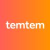 temtem logo - Similar company to Factory Digitale
