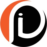 Puzzle Insights logo - Similar company to Terralog Srl