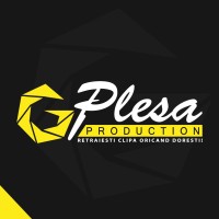 Plesa Production logo - Similar company to Pleșa Construcții