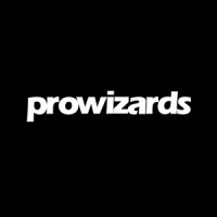 Prowizards