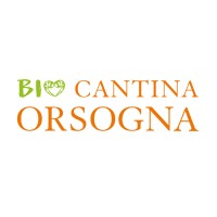 BIO Cantina {Sociale} Orsogna logo - Similar company to Fantini Wines