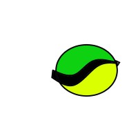 SPLIT