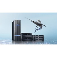 Huawei OceanStor logo - Similar company to Multisoft Dlc