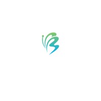 Banyan Bridge Foundation logo - Similar company to The Banyan Foundation, Inc.