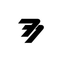 729 MGMT logo - Similar company to Plainsight