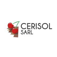 CERISOL logo - Similar company to Cerisol, Isoladores Cerâmicos, S.A.