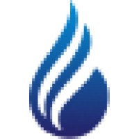 Dispral Solution logo - Similar company to Securetab