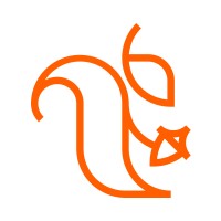 Squirrel - Agence digitale logo - Similar company to Fidelatoo