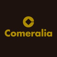 COMERALIA logo - Similar company to Inmatic