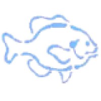 Blue Gill Consulting Group Llc