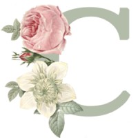 Casamento na Itália logo - Similar company to Casamento De Luxo