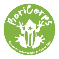 BoriCorps logo - Similar company to Caribbean Regenerative Community Development (Crcd)