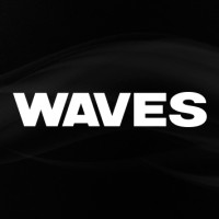 WAVES logo - Similar company to Decision Pointe Solutions Llc