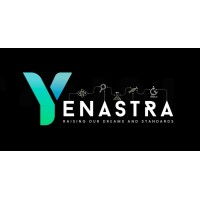 YENASTRA logo - Similar company to Poornaprajna Institute For Scientific Research - Ppisr