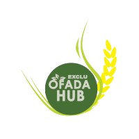 OFADAHUB logo - Similar company to Ofadaboy