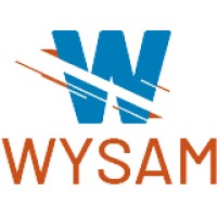 Wysam logo - Similar company to Viruscamp