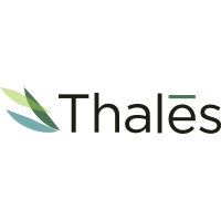 Thalēs Capital Partners LLC logo - Similar company to Totem Macro