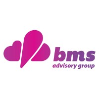 BMS Advisory Group logo - Similar company to Pmc Direct
