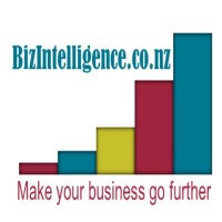 BizIntelligence Ltd logo - Similar company to Bizintellects Consulting Group