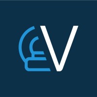 Viseur AI logo - Similar company to Technomind Digital Systems