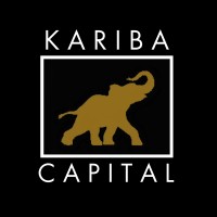 Kariba Capital logo - Similar company to Plnt Consulting