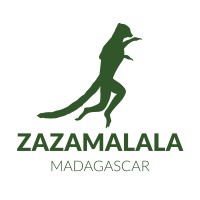 Zazamalala Foundation logo - Similar company to Rural Smiles Foundation