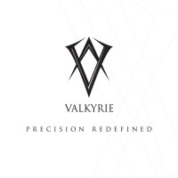 Valkyrie DMCC logo - Similar company to Praxis Gcs