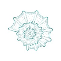 Helix Therapy Services logo - Similar company to Young Voices Victoria