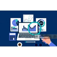 GrowthTrail Insights logo - Similar company to Infotrend Solution